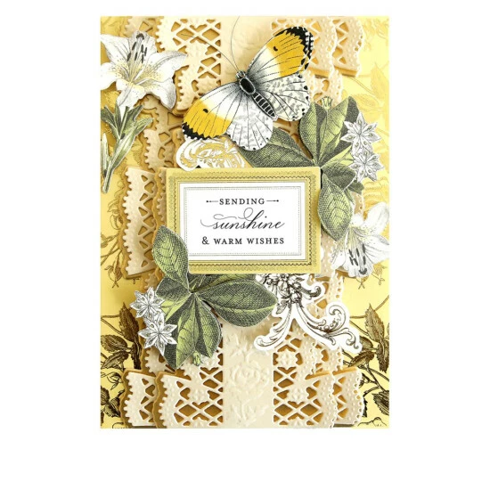 Best Sale 🧨 Anna Griffin® Lace Border Die Set ✔️ - Image 2